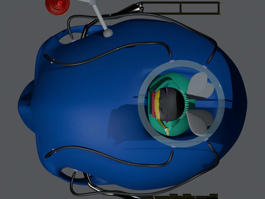 ANJ 9128 — Top detail